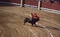 WT 2300 309-20 Spain
